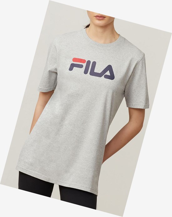 Fila Eagle Tee Lgrym/Peac/Cred | 047183-QUR