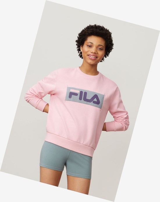 Fila Evelyn Sweatshirt Cpnk/Lead/Ggrp | 481932-ULK