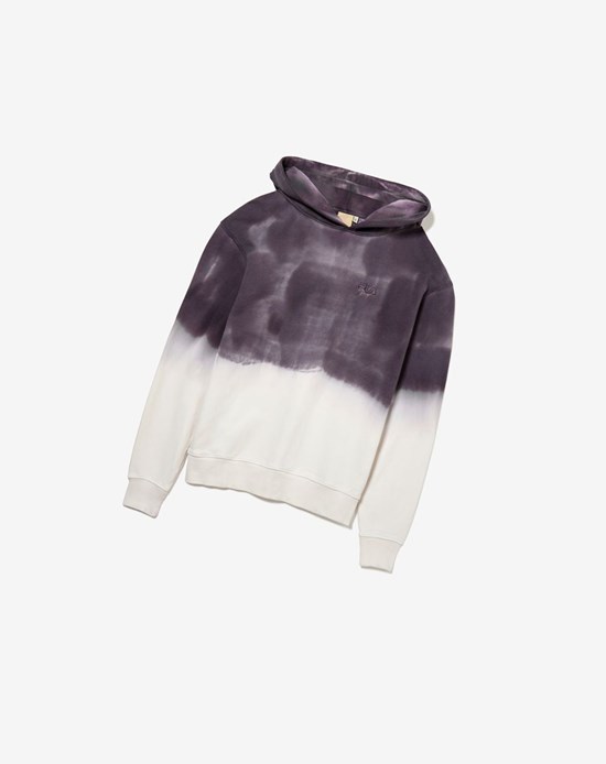 Fila Sigurd Gradient Hoodie Rabbit/Marshm | 915738-DCH